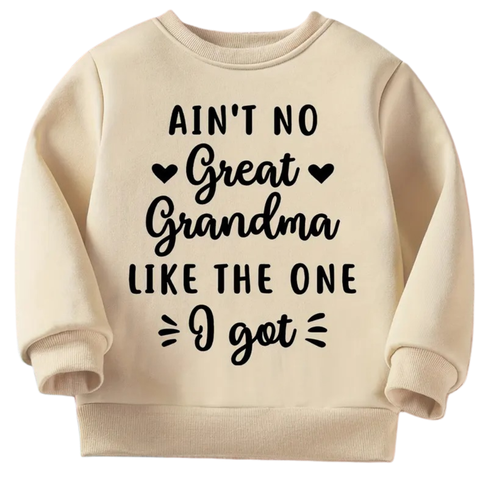 Boys Graphic Print Casual Pullover Sweatshirt