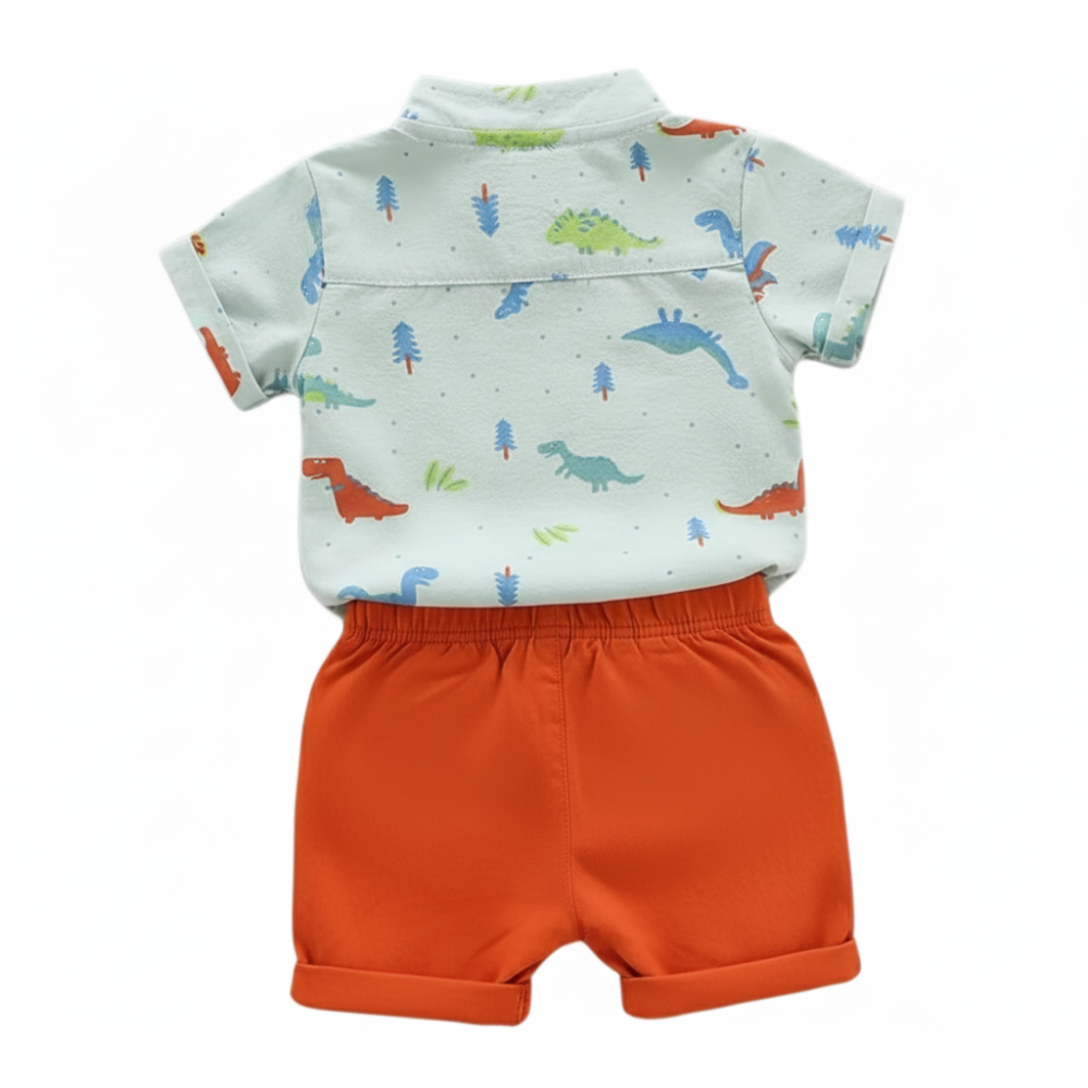 Colorful Dinosaur Print Shirt And Shorts 