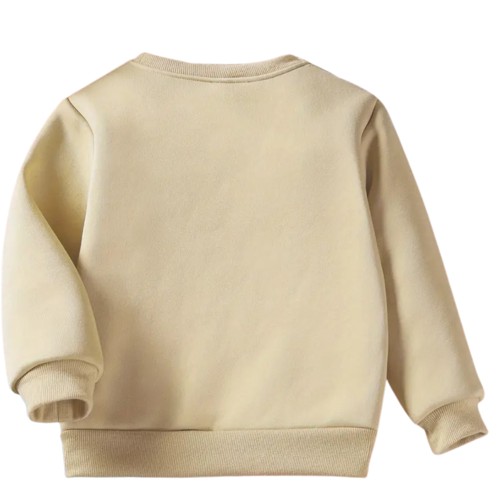 Boys Graphic Print Casual Pullover Sweatshirt