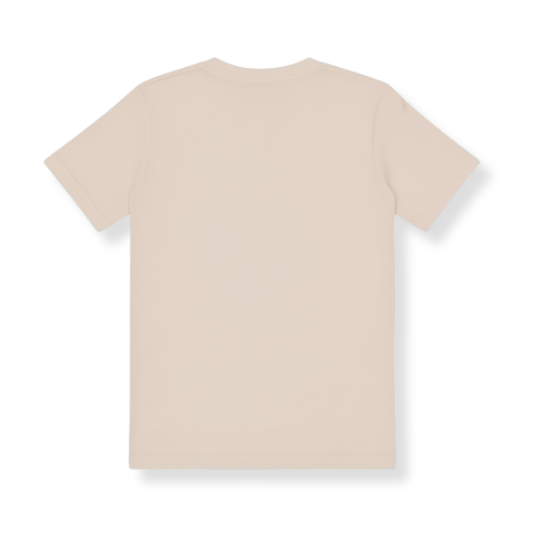 Dinosaur Printed Short Sleeve For Boys
