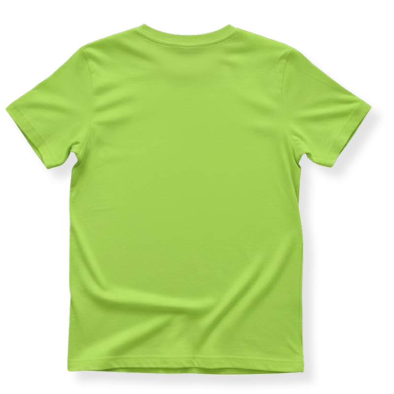 Dinosaur Cartoon Printed T Shirt For Boys