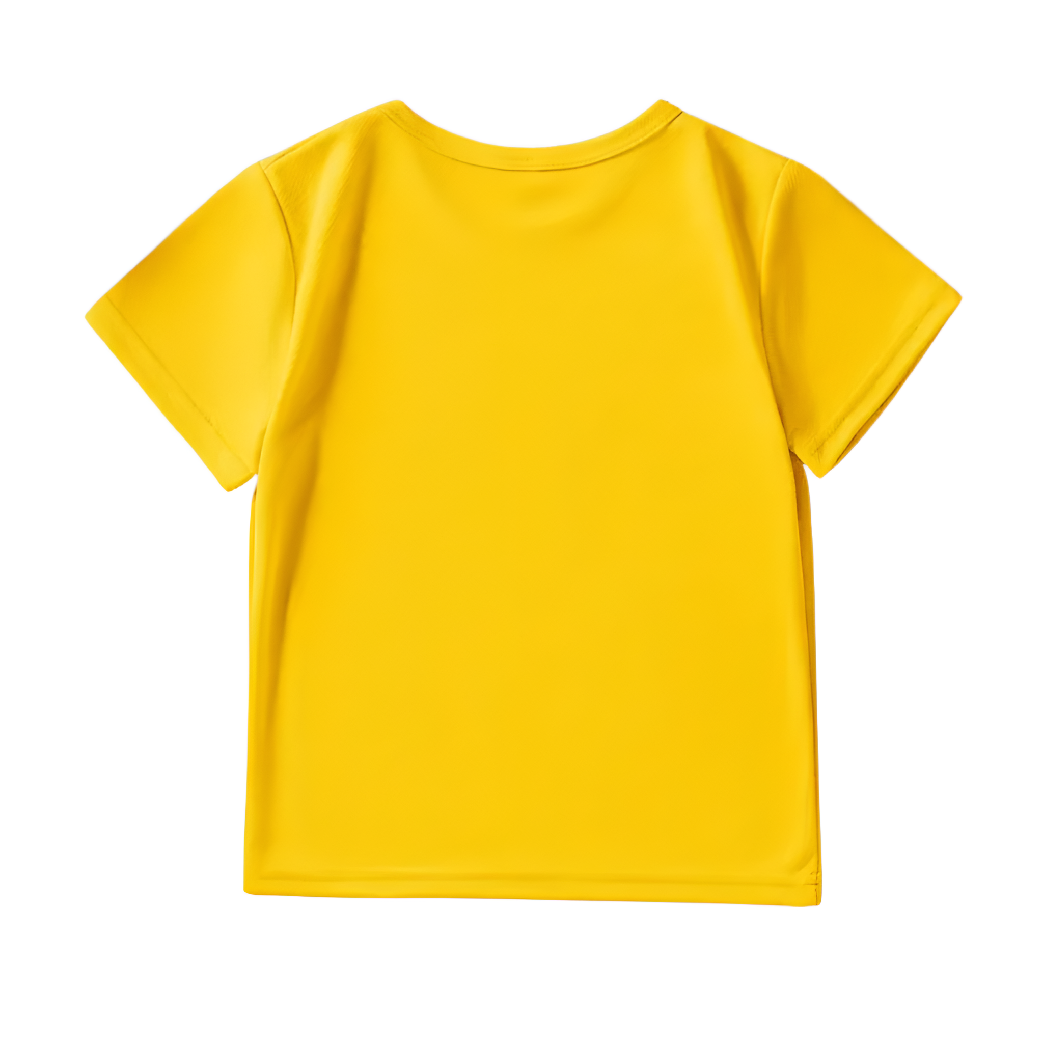 Boys Little Lion Graphic T Shirt