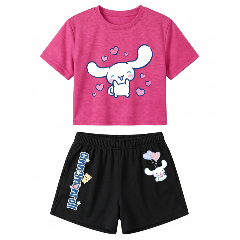 Cinnamoroll Graphic Print Mesh T Shirt And Shorts 2 Piece Set For Girls