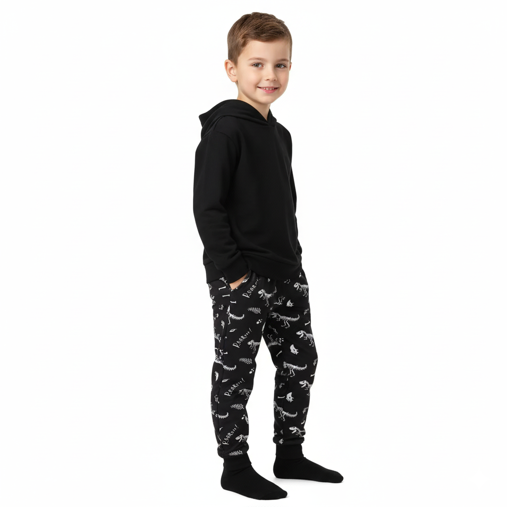 Boys Dinosaur Hoodie And Pants Clothing Set