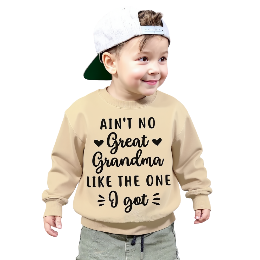 Boys Graphic Print Casual Pullover Sweatshirt