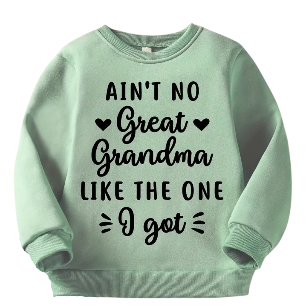 Boys Graphic Print Casual Pullover Sweatshirt