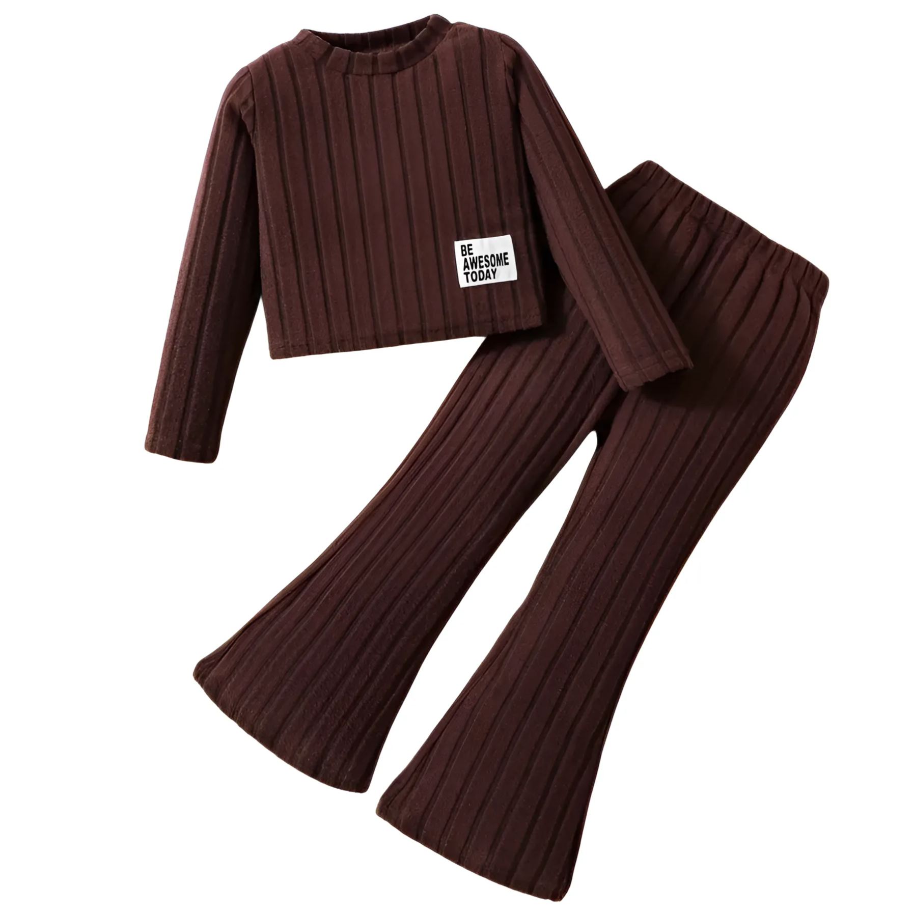 Long Sleeve Ribbed Pullover Top With Flare Pants Set For Girls