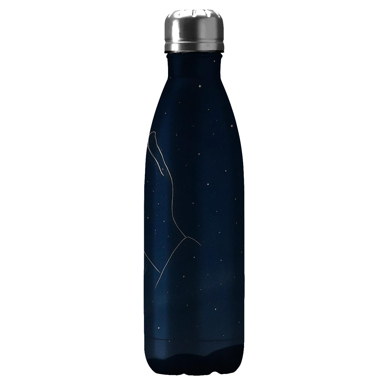 Quiet Constellation Prayer insulated water bottles