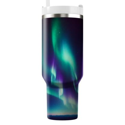 Winter Northern Skies  Tumbler Cups