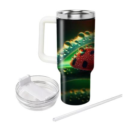 Dainty Ladybug Delight  Tumblers With Lids