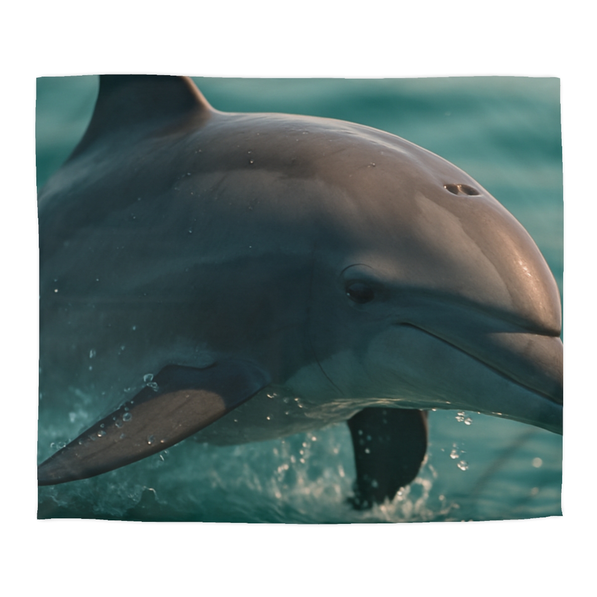 Silver Glide Bottlenose Dolphin personalized bedding duvets
