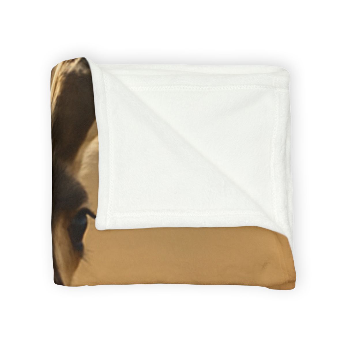 Horizon Pulse Pronghorn trendy patterned blankets