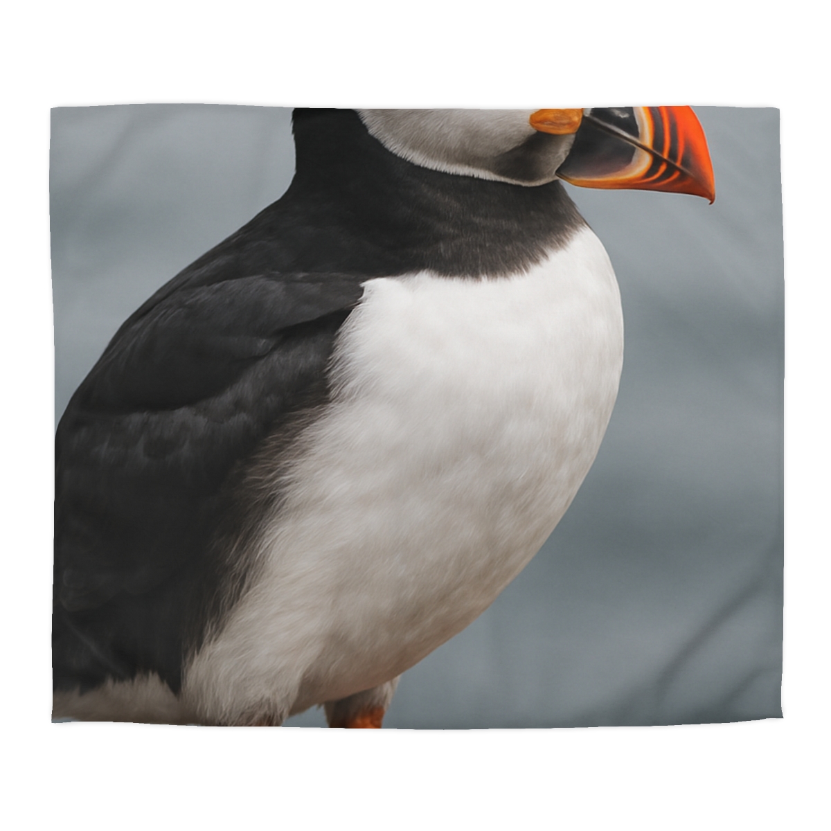 Glasswater Glide Atlantic Puffin soft comforter duvets