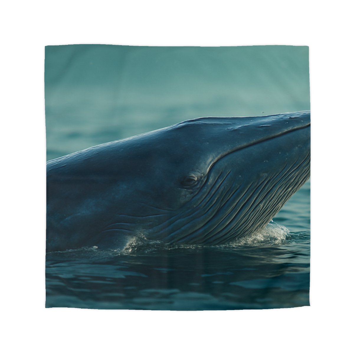 Ocean Song Blue Whale stylish duvet covers