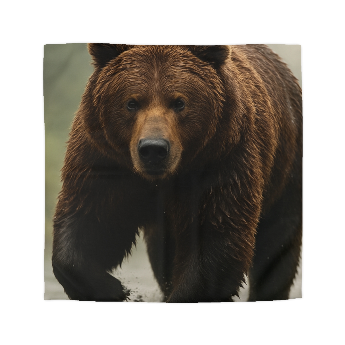 River King Grizzly Bear duvets for gifts