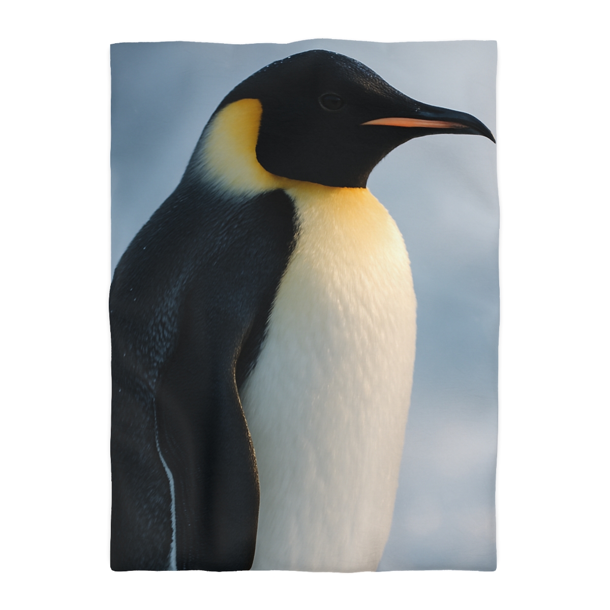 Glacier Gaze Emperor Penguin stylish duvet covers