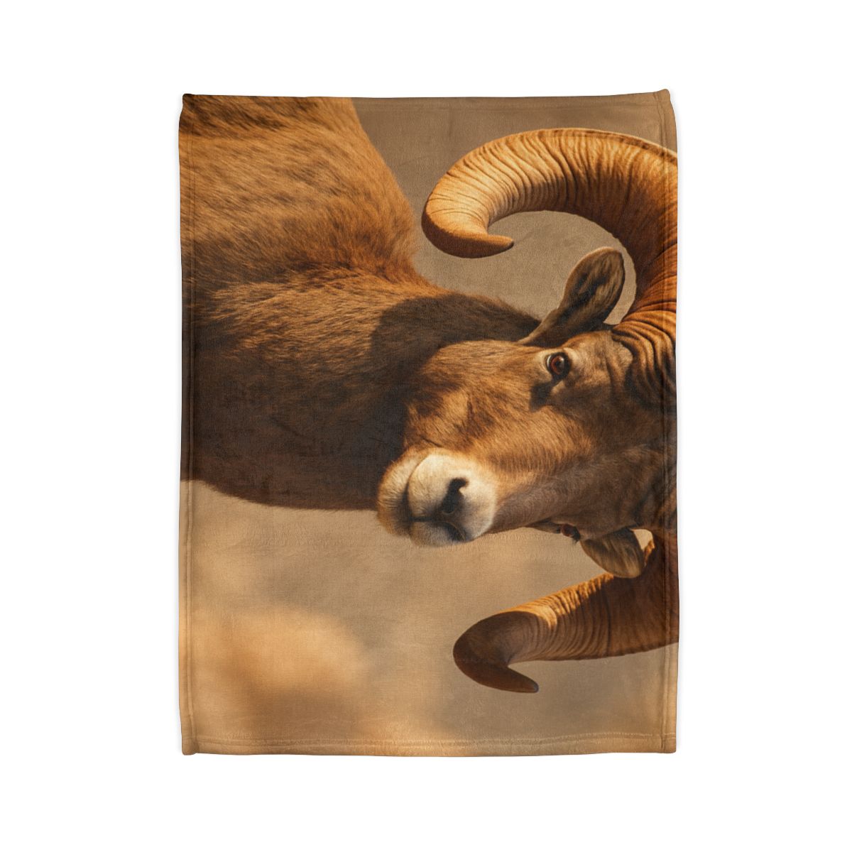 Canyon Echo Bighorn Sheep stylish throw blankets