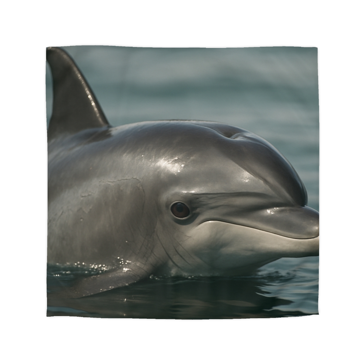 Mirror Calm Bottlenose Dolphin custom duvets