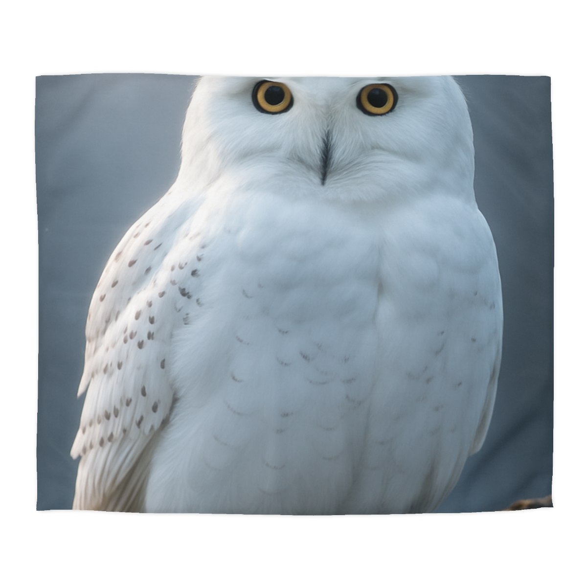 Twilight Watcher Snowy Owl unique patterned duvets