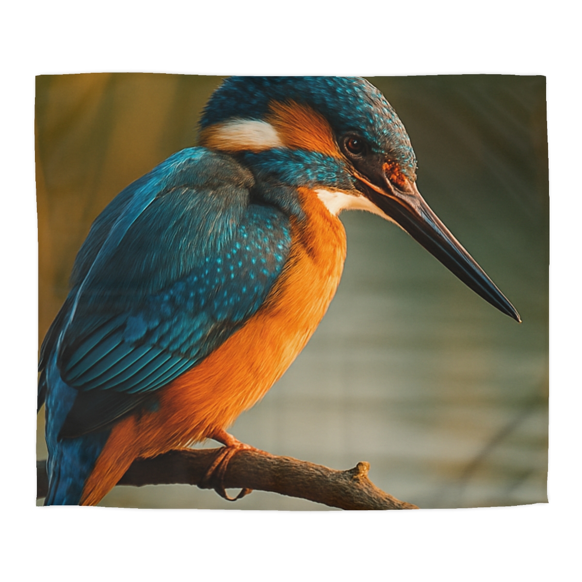 Aurora Splash Common Kingfisher warm winter duvets