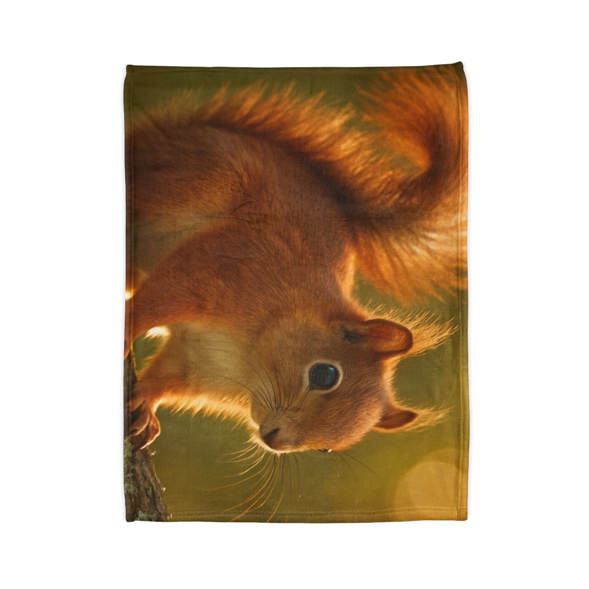 Sunrise Forager Red Squirrel decorative home blankets