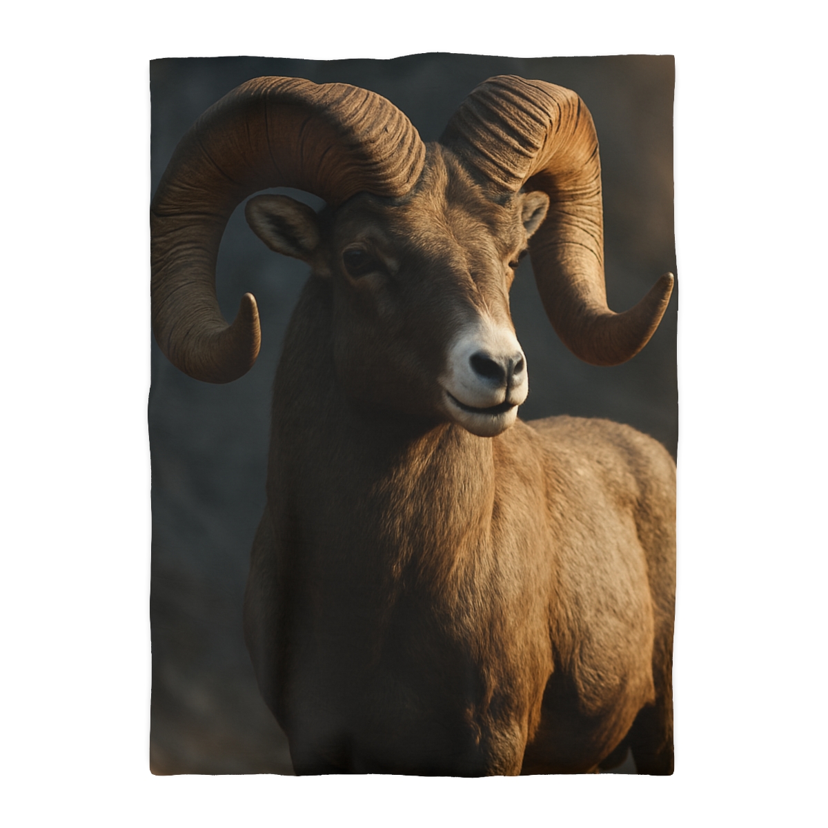 Canyon Shadow Bighorn Sheep duvets for gifts