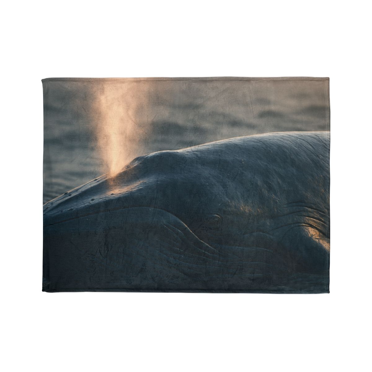 Ocean Song Blue Whale unique gift blankets