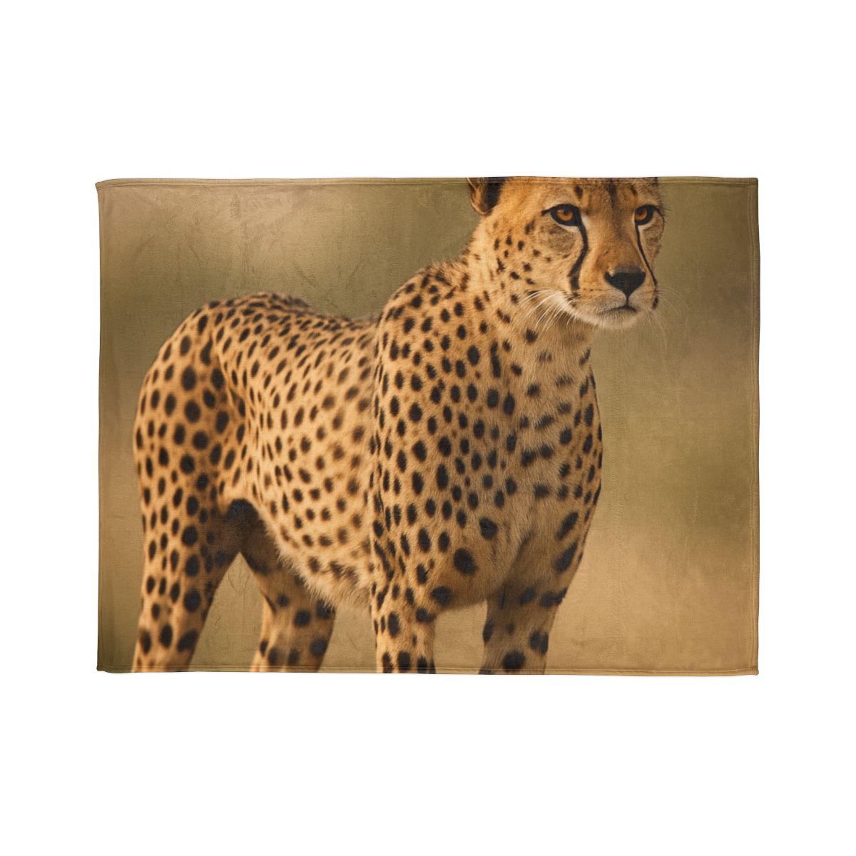 Wind Trace Cheetah soft fleece blankets
