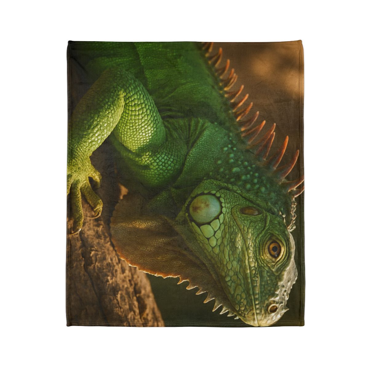 Sunlit Perch Green Iguana warm winter blankets