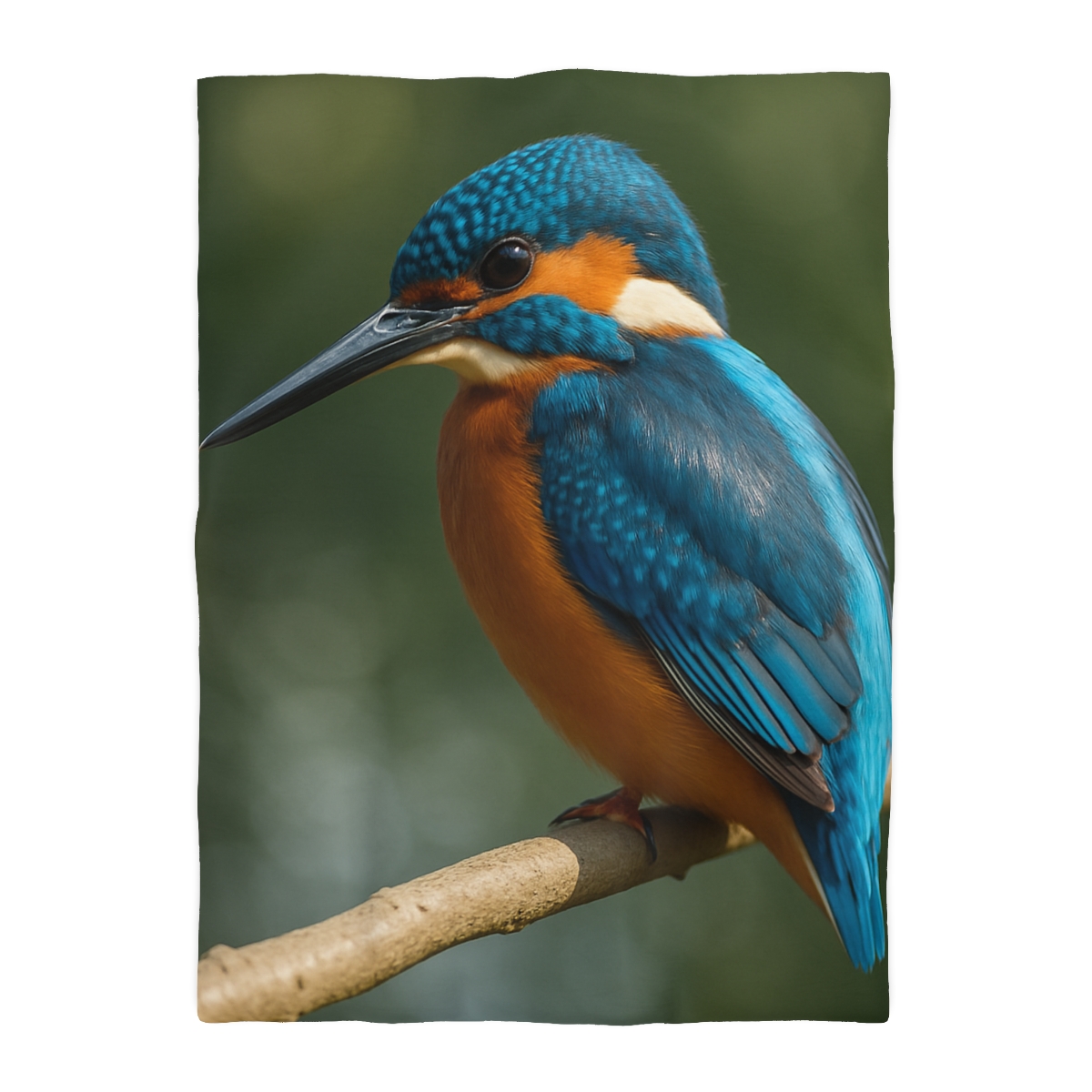 Azure Bolt Common Kingfisher trendy bedroom duvets