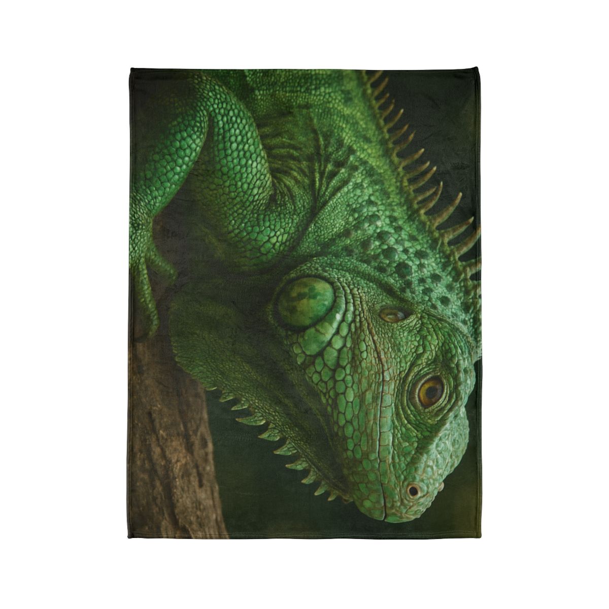 Verdant Gaze Green Iguana decorative home blankets