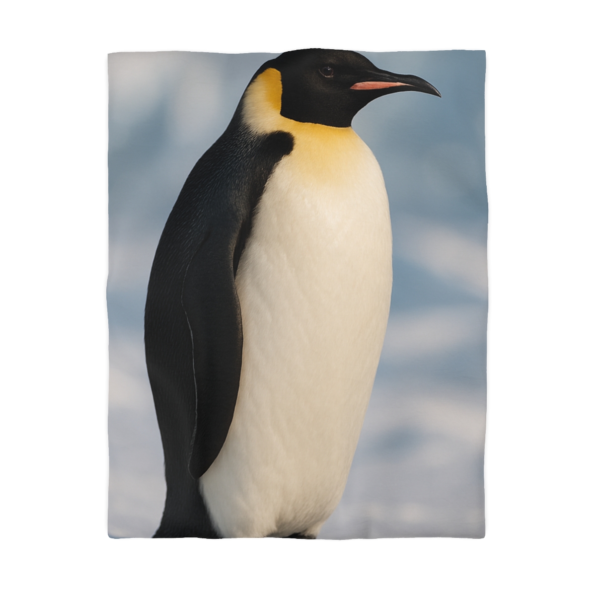 Aurora Drifter Emperor Penguin stylish duvet covers