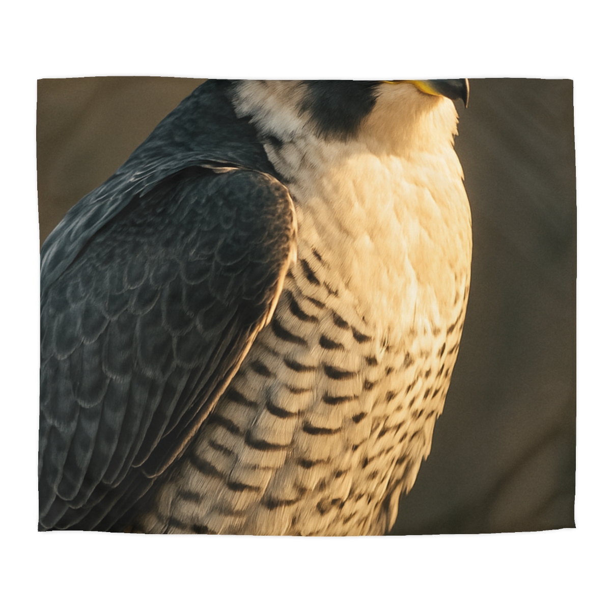 Starlit Poise Peregrine Falcon designer printed duvets