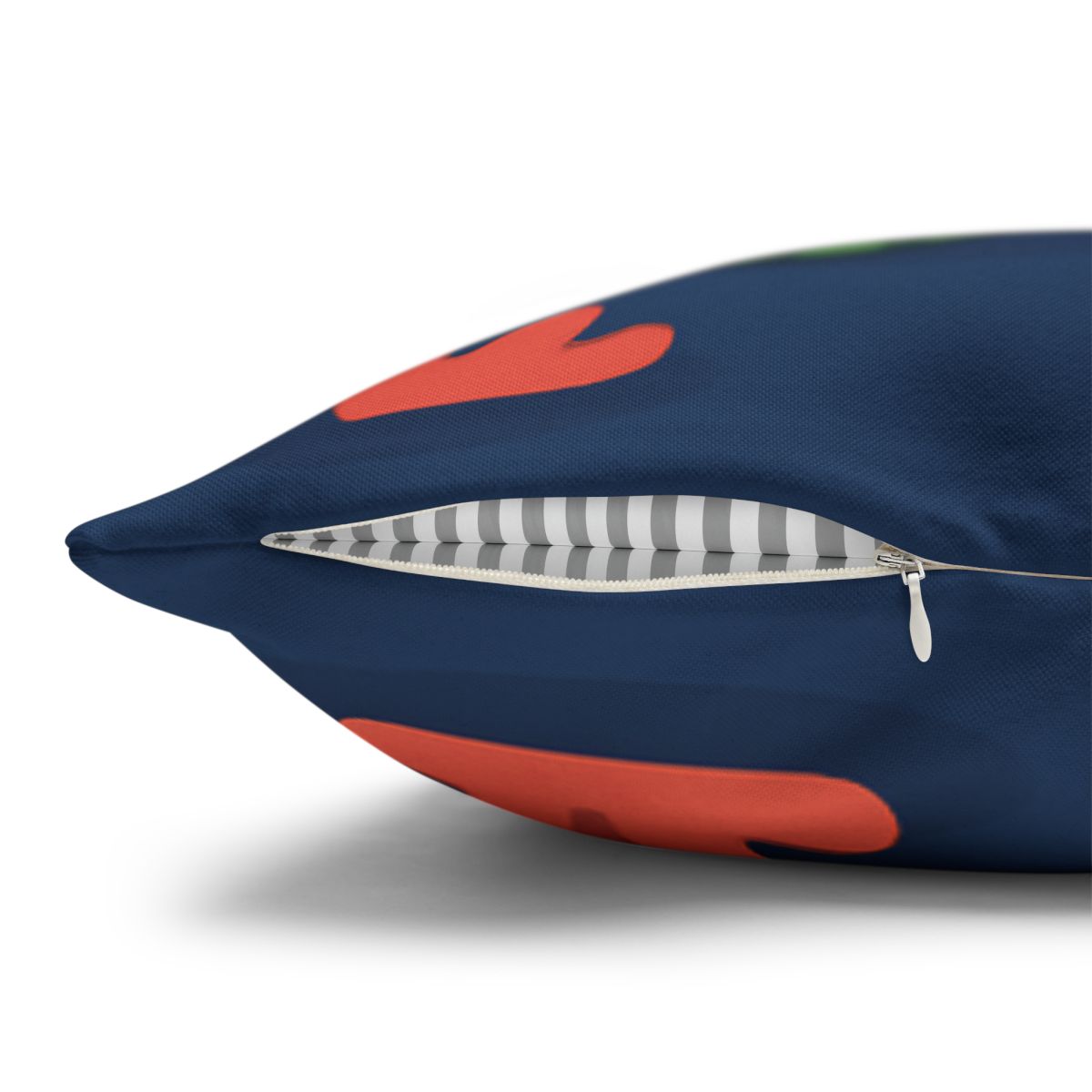 Comet Classroom Turtle personalized pillow covers