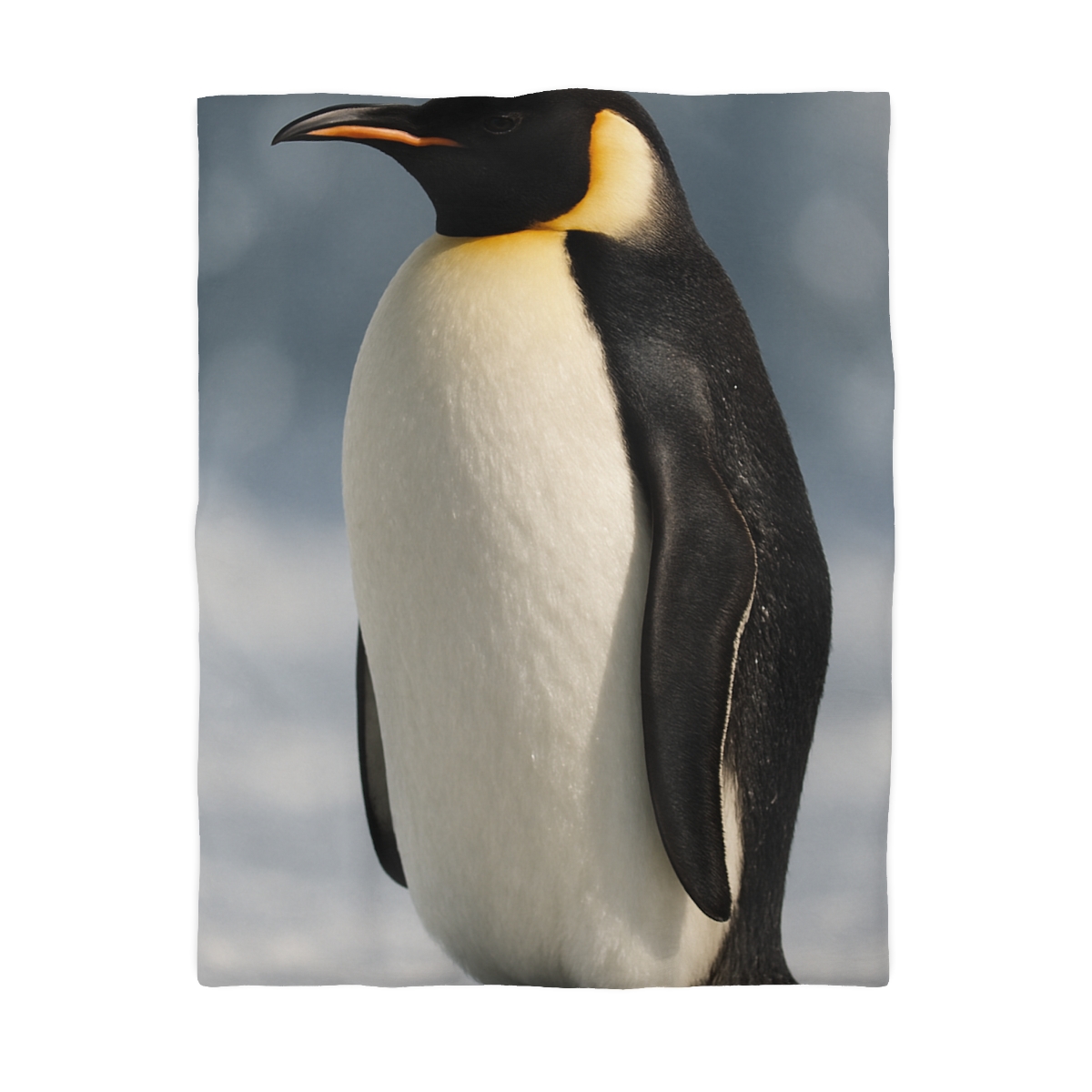 Aurora Drift Emperor Penguin stylish duvet covers