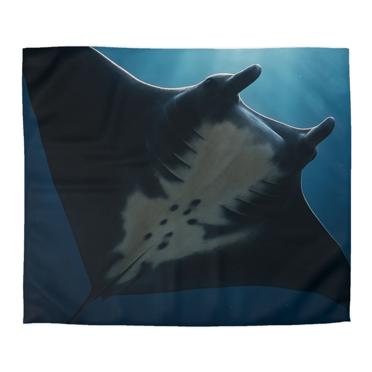 Manta Ray Moon Glide trendy bedroom duvets