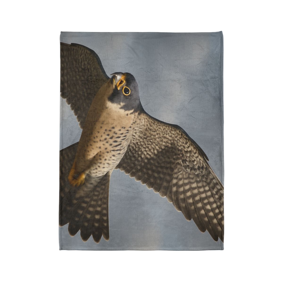 Sky Lance Peregrine Falcon decorative home blankets
