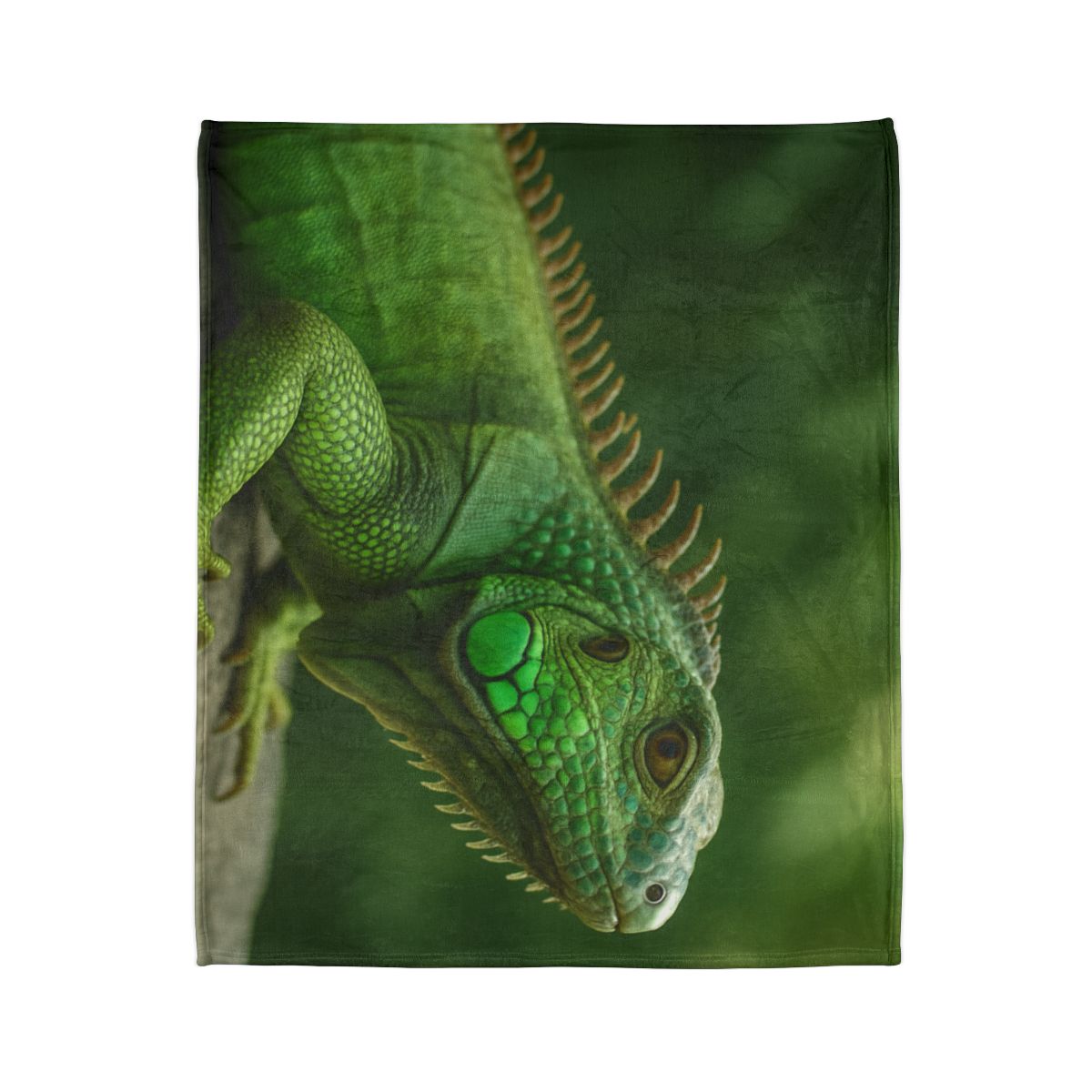 Stone Watcher Green Iguana decorative home blankets