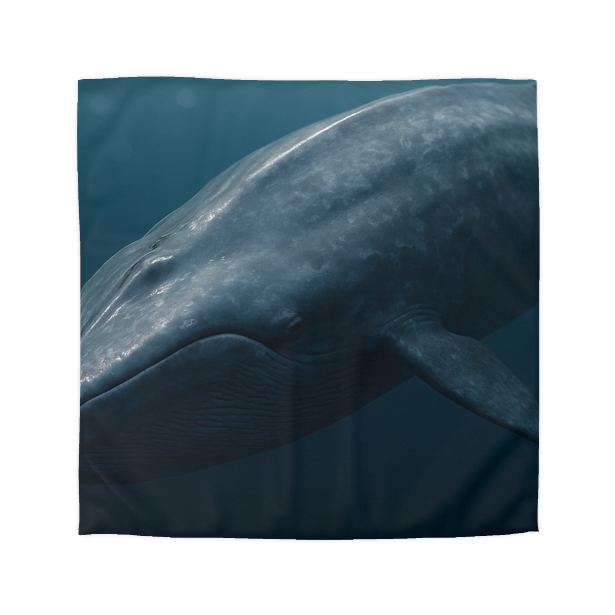 Silent Giant Blue Whale soft comforter duvets