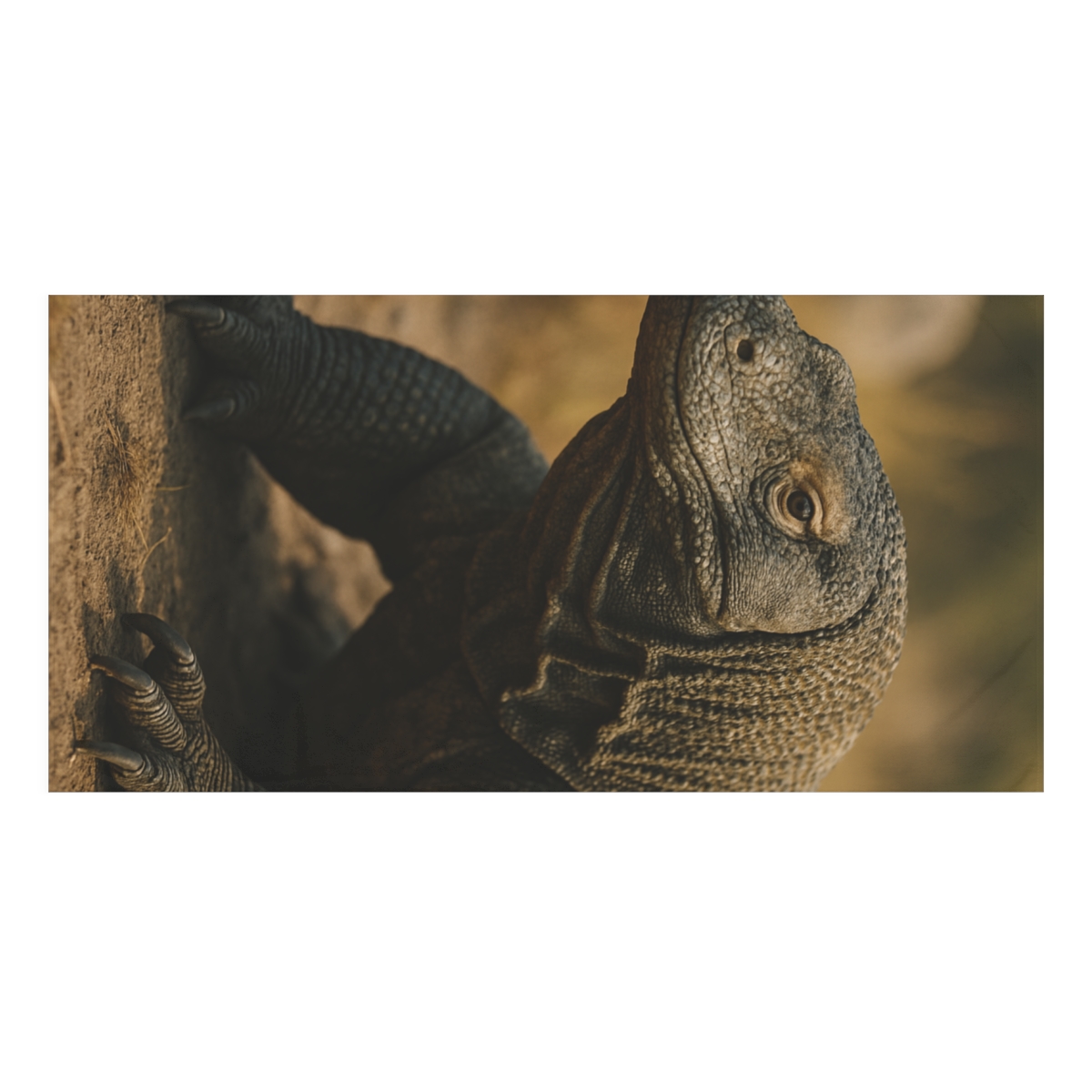 Ancient Sentinel Komodo Dragon personalized bath towels