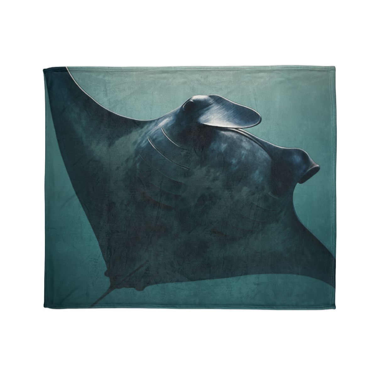 Nebula Glide Giant Manta Ray warm winter blankets