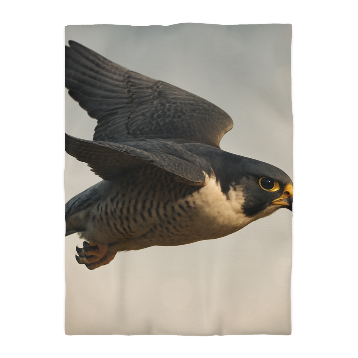 Comet Glide Peregrine Falcon duvets for gifts