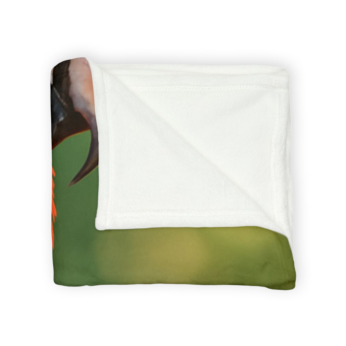 Prism Song Scarlet Macaw warm winter blankets