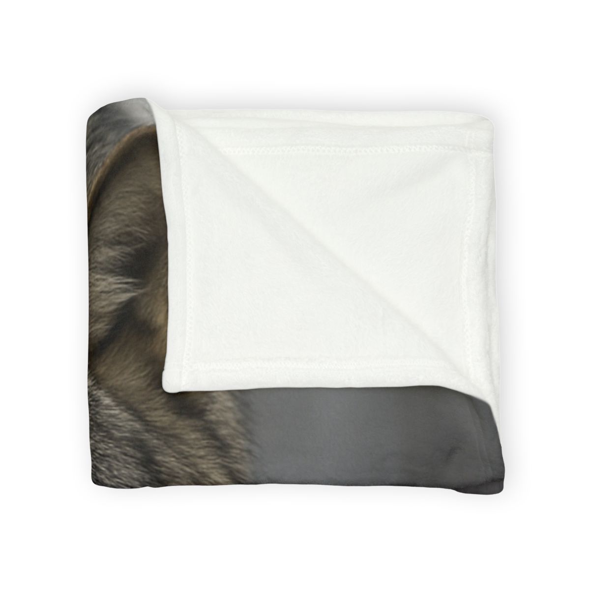 Silver Hush Gray Wolf warm winter blankets