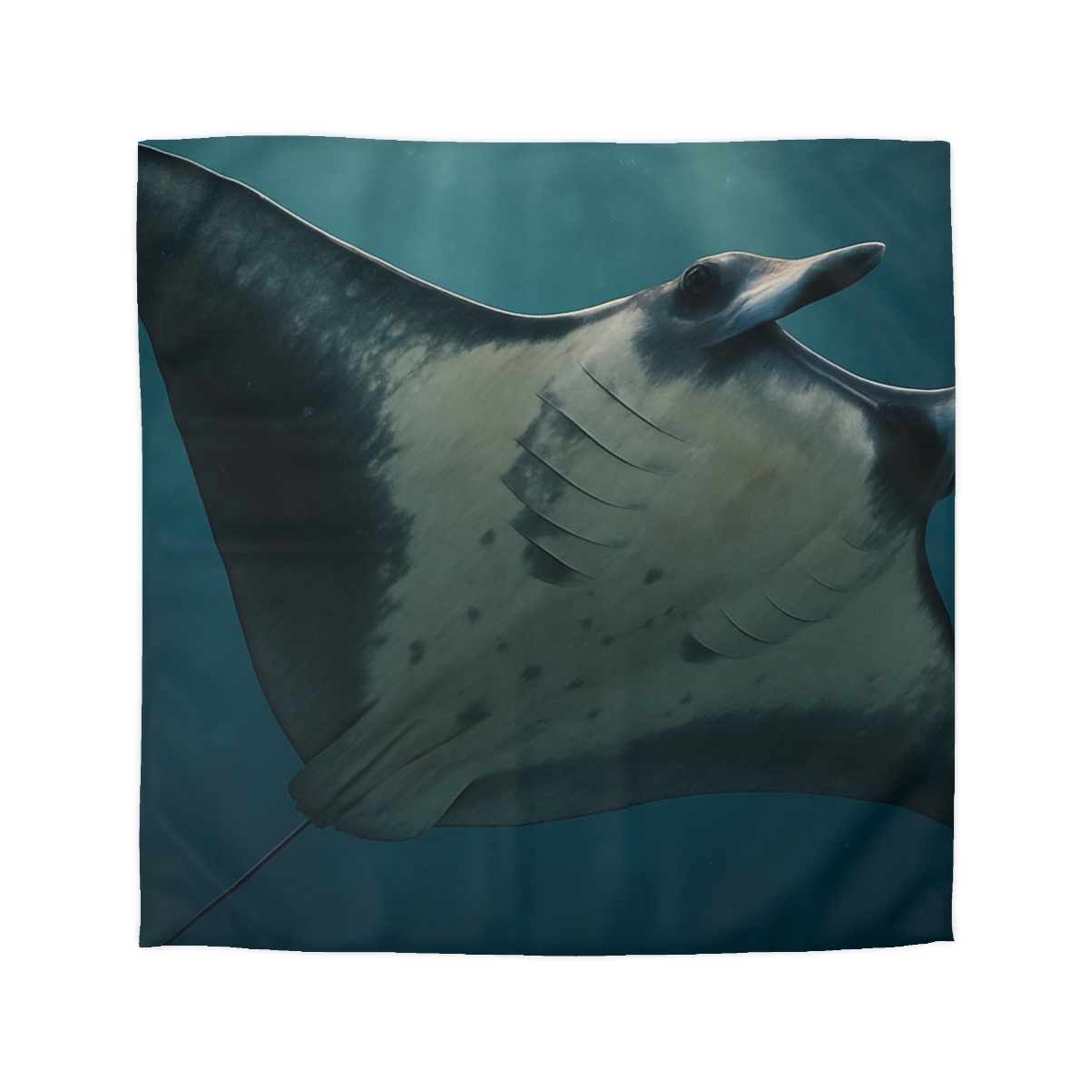 Blue Halo Giant Manta Ray trendy bedroom duvets