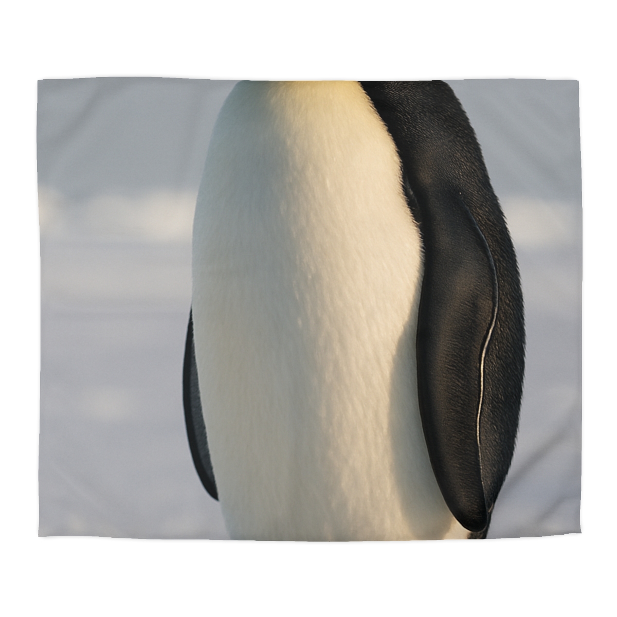 Aurora March Emperor Penguin stylish duvet covers
