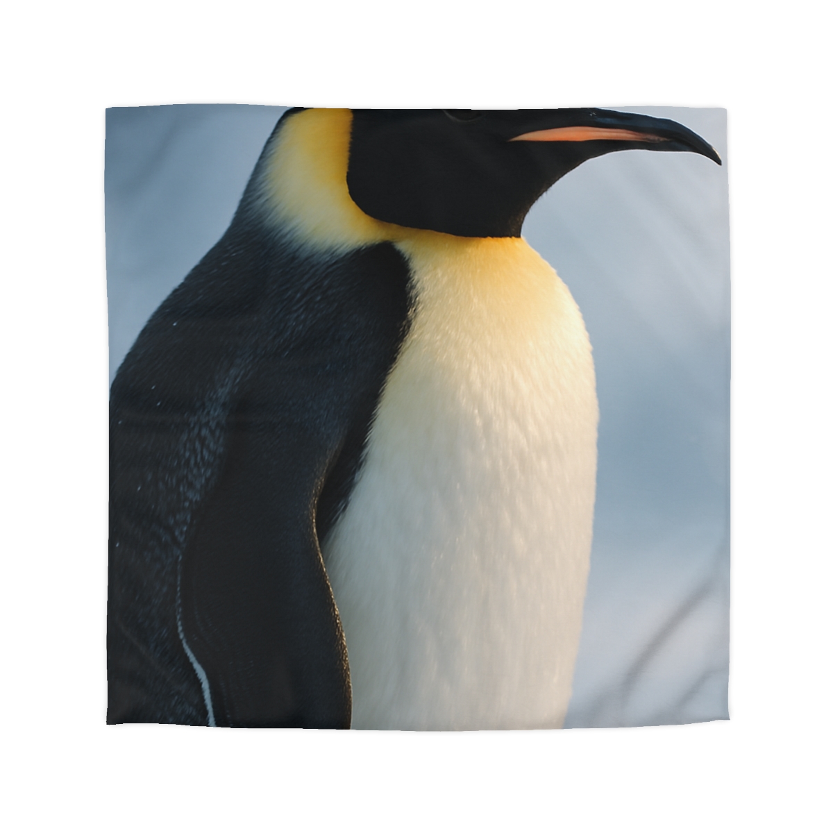 Glacier Gaze Emperor Penguin stylish duvet covers