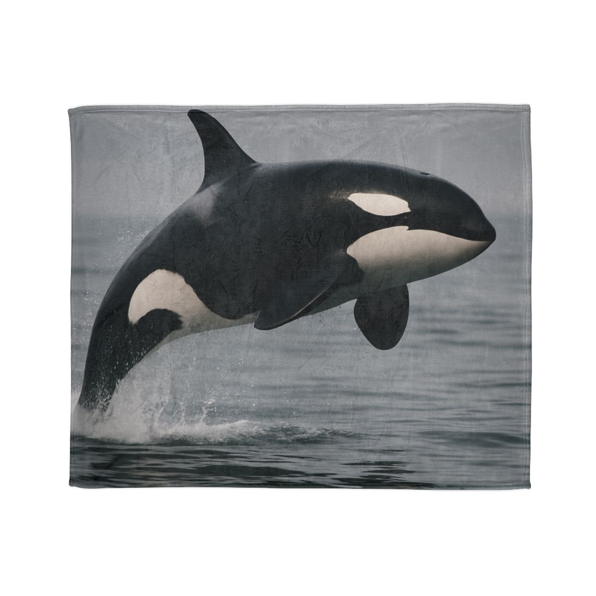 Tidal Monarch Orca warm winter blankets