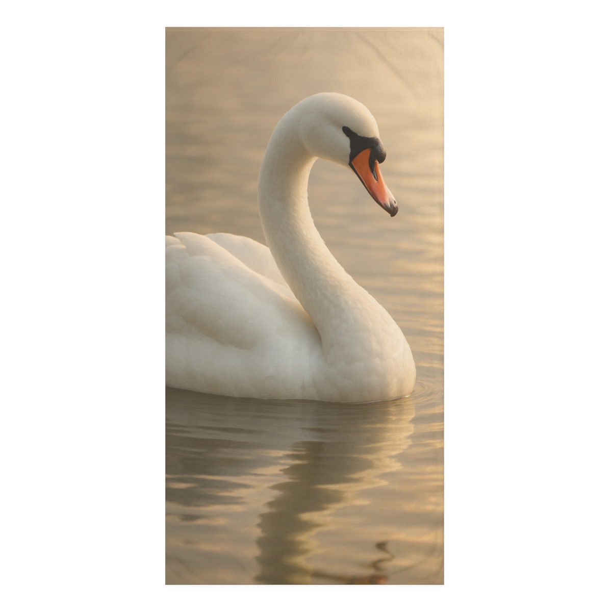 River Grace Swan designer printed towels