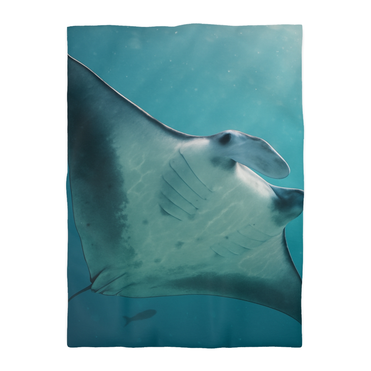 Silent Glide Manta Ray unique patterned duvets